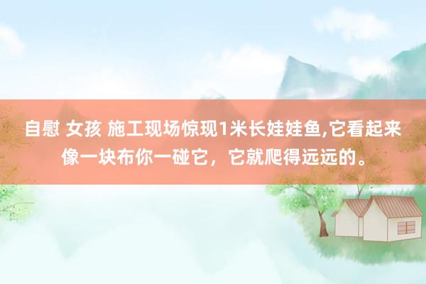 自慰 女孩 施工现场惊现1米长娃娃鱼,它看起来像一块布你一碰它，它就爬得远远的。