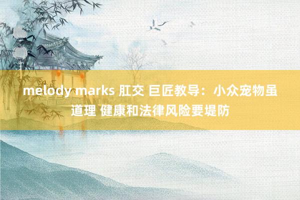 melody marks 肛交 巨匠教导：小众宠物虽道理 健康和法律风险要堤防