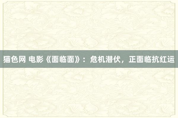 猫色网 电影《面临面》：危机潜伏，正面临抗红运