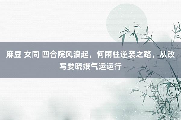 麻豆 女同 四合院风浪起，何雨柱逆袭之路，从改写娄晓娥气运运行