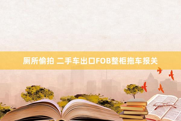 厕所偷拍 二手车出口FOB整柜拖车报关