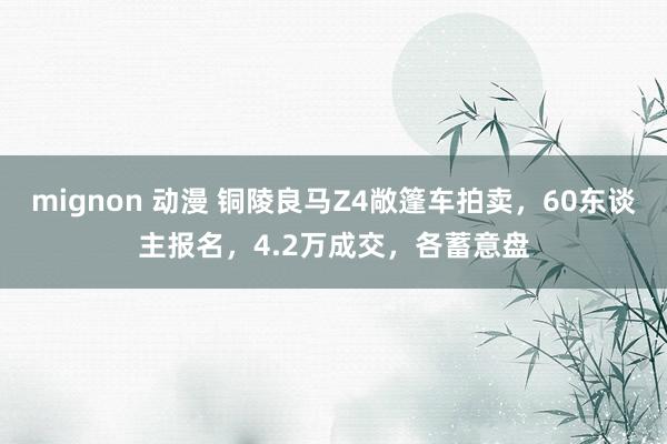 mignon 动漫 铜陵良马Z4敞篷车拍卖，60东谈主报名，4.2万成交，各蓄意盘