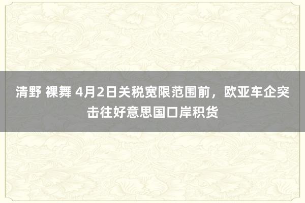 清野 裸舞 4月2日关税宽限范围前，欧亚车企突击往好意思国口岸积货
