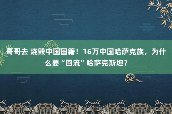 哥哥去 烧毁中国国籍！16万中国哈萨克族，为什么要“回流”哈萨克斯坦？