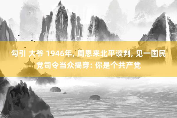 勾引 大爷 1946年, 周恩来北平谈判, 见一国民党司令当众揭穿: 你是个共产党