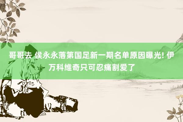 哥哥去 侯永永落第国足新一期名单原因曝光! 伊万科维奇只可忍痛割爱了