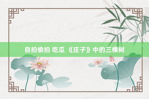 自拍偷拍 吃瓜 《庄子》中的三棵树