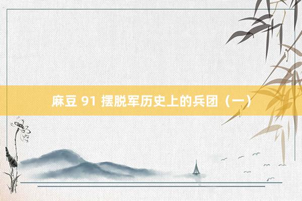 麻豆 91 摆脱军历史上的兵团（一）