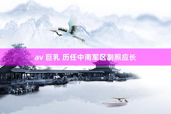 av 巨乳 历任中南军区副照应长