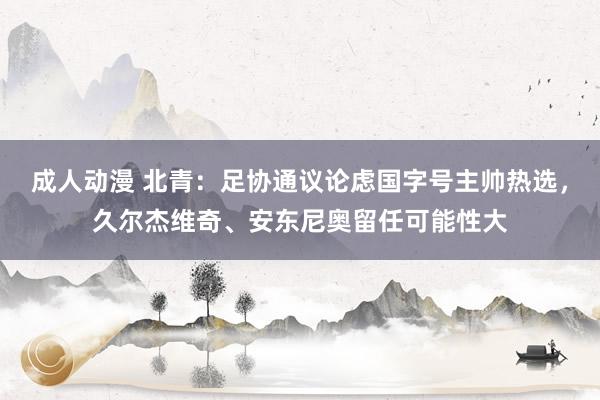 成人动漫 北青：足协通议论虑国字号主帅热选，久尔杰维奇、安东尼奥留任可能性大